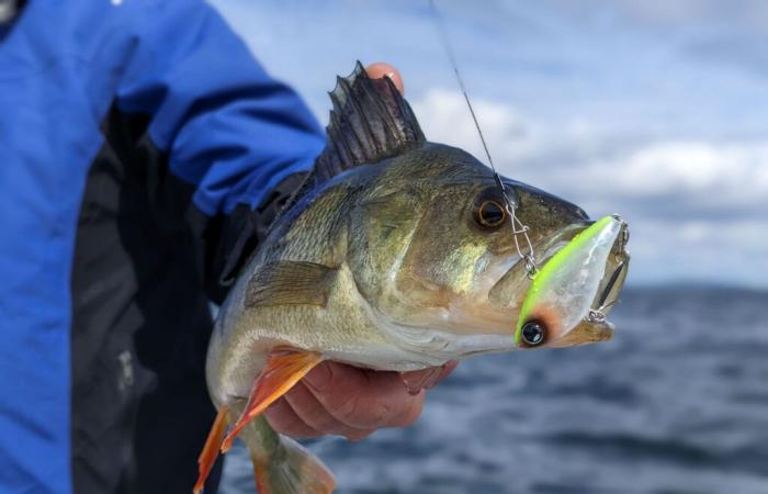 Clausura de la 1ª edición del concurso nacional e internacional de pesca deportiva