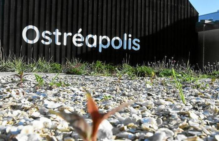 En el Tour-du-Parc, ¿cuál es el resultado de Ostréapolis, el centro dedicado a las ostras?