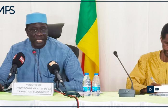 SENEGAL-ÁFRICA-MEDIO AMBIENTE / El acceso a la financiación climática, prioridad para los países africanos en la COP 29 (Daouda Ngom) – agencia de prensa senegalesa