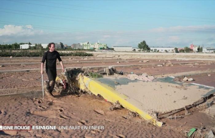 Un hermano y una hermana buscan desesperadamente a su padre, un camionero arrastrado por las olas.