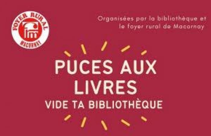 Pulgas de libro: venta de garaje en Macornay