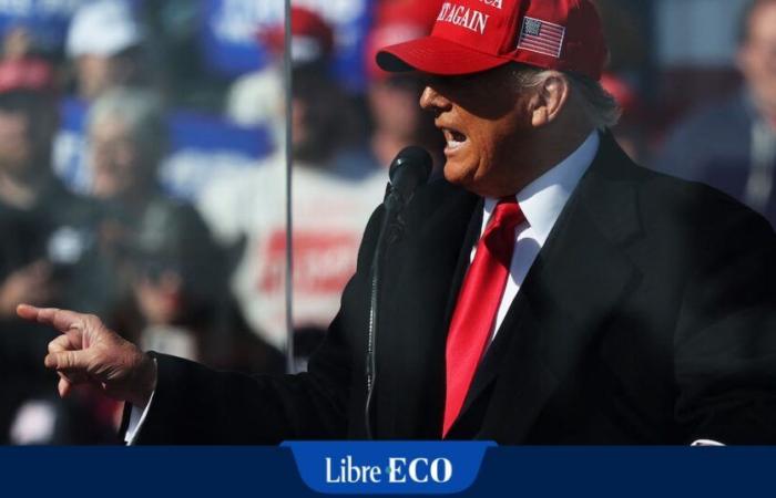 Elecciones en EE.UU.: “Los discursos de Donald Trump están completamente inconexos”