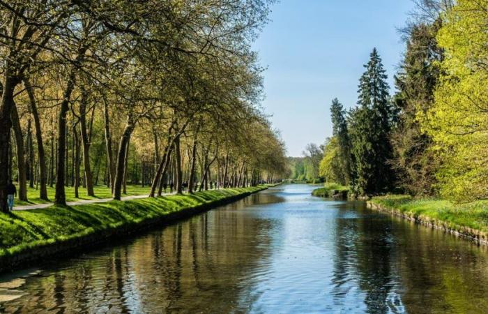 Se abre una investigación tras la muerte de numerosos peces en un canal contaminado con azúcar