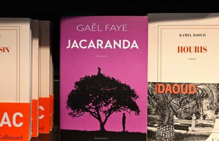 El premio Goncourt otorgado a Kamel Daoud, Gaël Faye obtiene el Renaudot