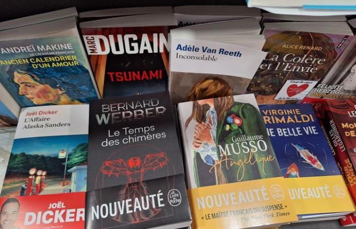 cómo la edición francesa publica sus libros en carteles organizados