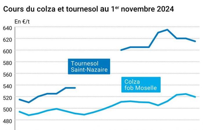 COTidienne | Semillas oleaginosas: los precios de la colza de Euronext se contraen ligeramente por el efecto de las ventas técnicas, mientras que los de la soja estadounidense se recuperan ligeramente