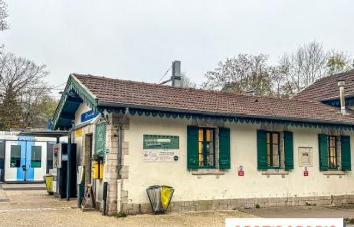 Aux Quais, el salón de té ecológico y local que se apodera de la estación Étang-la-Ville de Yvelines