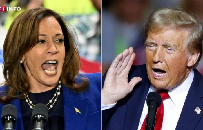 EN VIVO – Elecciones presidenciales de EE.UU., D-1: Harris y Trump entran en la recta final