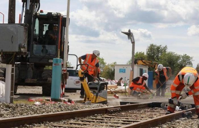 ¿Pronto el regreso de los trenes en la línea ferroviaria de carga entre Laluque y Tartas?