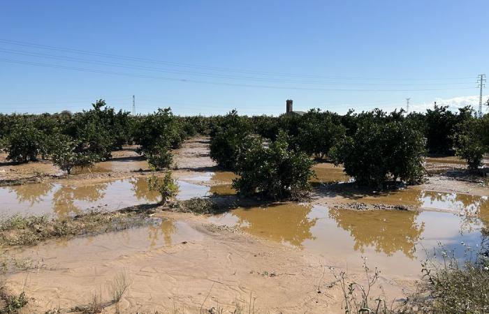 Tras las mortales inundaciones, la ira de las víctimas