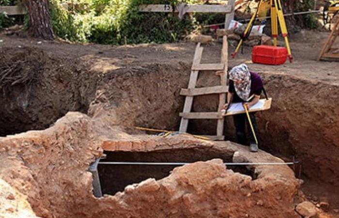 Datados hace 15.000 años, los vestigios más antiguos de plantas medicinales descubiertos en Marruecos