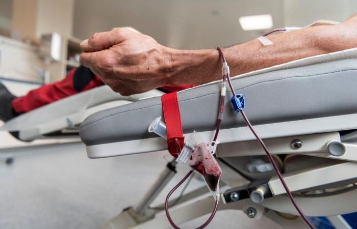 Un año en el que los homosexuales donamos sangre como los demás