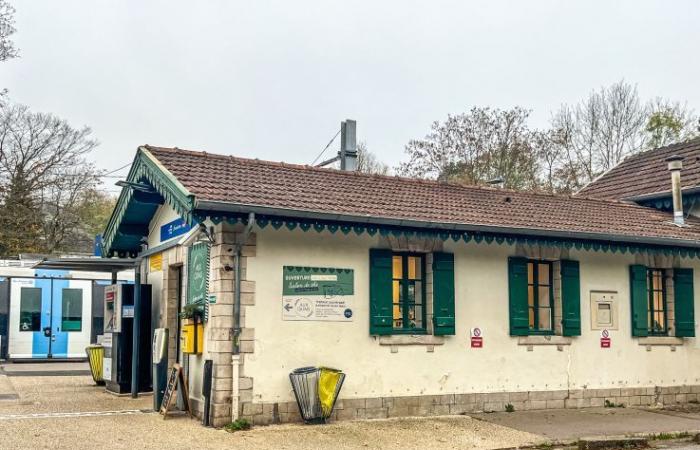 Aux Quais, el salón de té ecológico y local que se apodera de la estación Étang-la-Ville de Yvelines