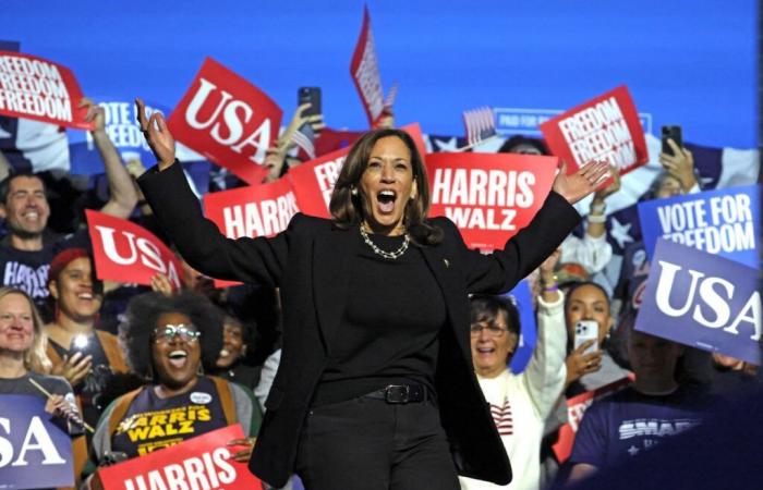 Elecciones presidenciales: Kamala Harris o Donald Trump, Estados Unidos en el momento de elección