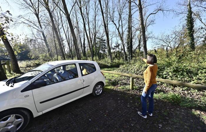 Video. Calzoncillos, preservativos y pañuelos usados, violencia, esta Lot-et-Garonnaise vive con el “Bois de Boulogne” bajo sus ventanas