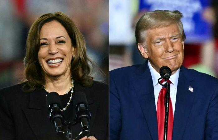 Trump fantasea con el fraude electoral: un impulso para Harris