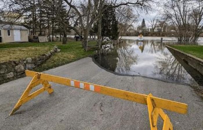 Un mensaje del alcalde Hutchison sobre el mapa de inundaciones propuesto