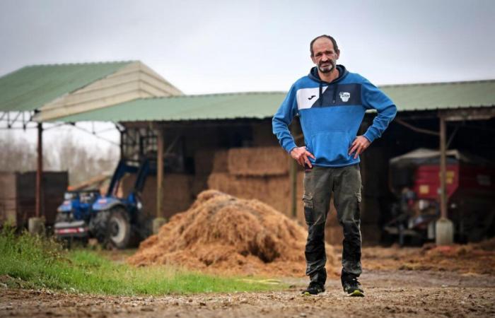 La gripe aviar, un desafío diario para este criador de las Landas