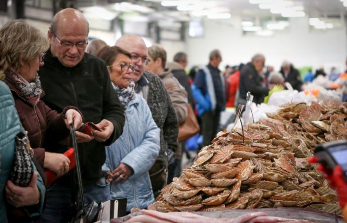 ¿Qué precio tiene la vieira del Goût du Large este fin de semana?