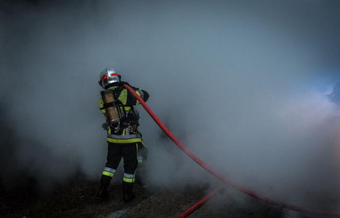 Inicio del incendio en una cementera clasificada Seveso, los bomberos luchan contra las llamas y “enfrían el silo desde el exterior”