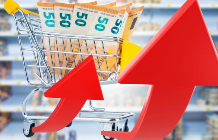 Antes de Navidad, los precios de estos alimentos podrían aumentar en tu supermercado