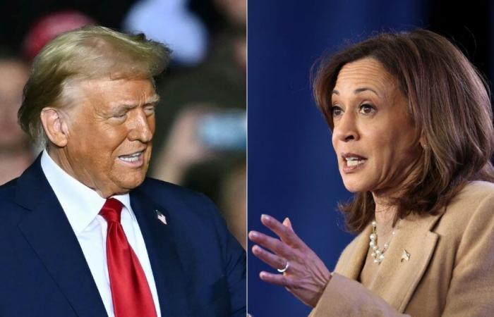 ¿Cuándo sabremos quién ganó, Kamala Harris o Donald Trump?