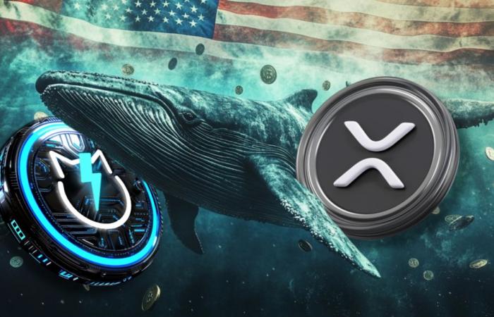 El precio de XRP cae un 7,4% antes de las elecciones estadounidenses. ¿Puede el precio de XRP aumentar en 2025 a medida que las ballenas exploren nuevas altcoins?