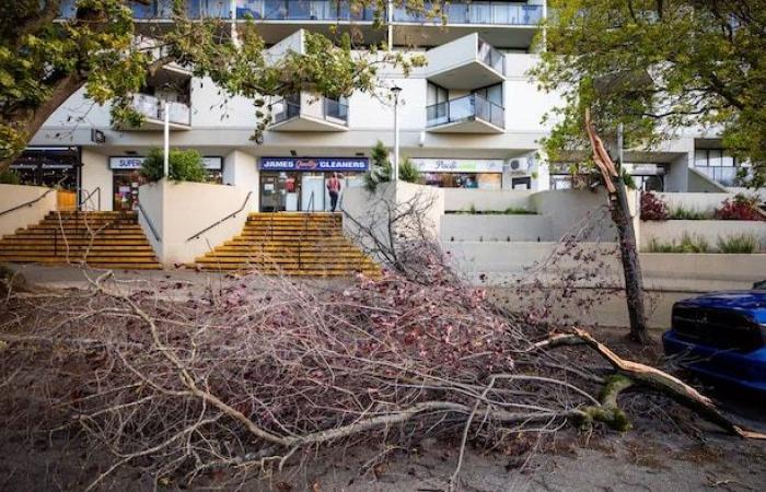 Unos 70.000 hogares sin electricidad en Columbia Británica