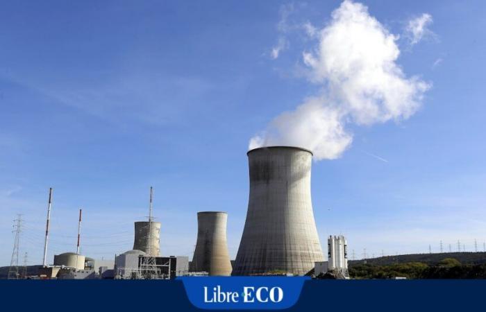 Engie inicia la descontaminación química de Tihange 2: “Los políticos no entienden el punto, vamos a tener serios problemas”