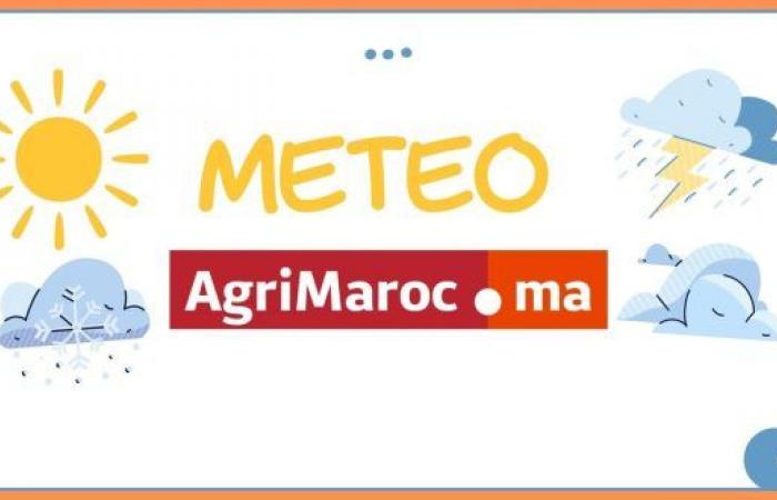 Previsión del tiempo para el martes 5 de noviembre de 2024 – AgriMaroc.ma