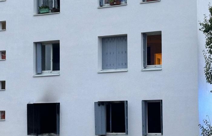 “Vi gente saltando por la ventana”, se produce un incendio en un edificio de Troyes, sin causar víctimas