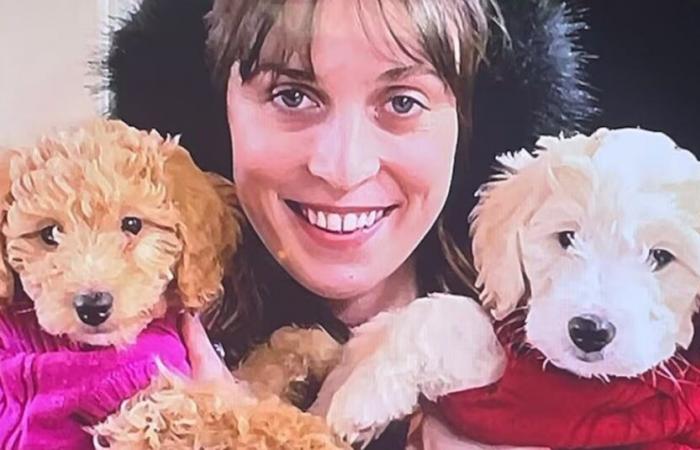 La lealtad del perro al difunto dueño ayuda a los investigadores a identificar al sospechoso en el caso de asesinato