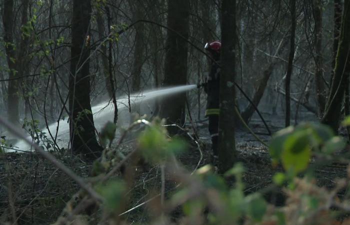 un ex bombero condenado por seis incendios provocados