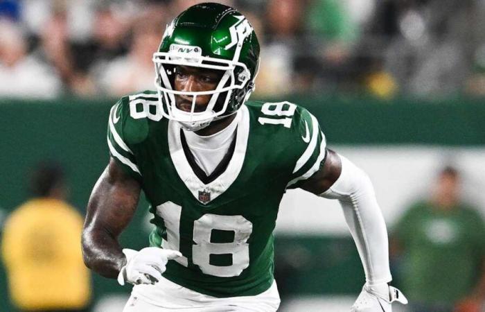 Los Steelers consiguen al WR Mike Williams en un intercambio con los Jets, agregan la ventaja a Preston Smith en el intercambio con los Packers