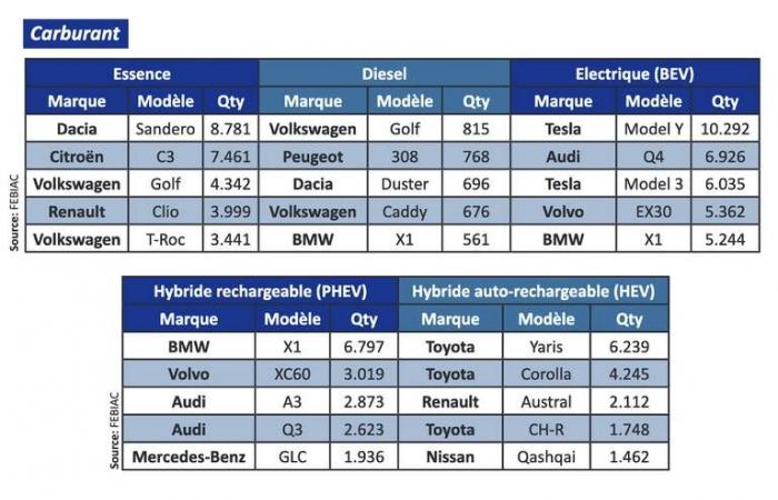 Análisis: los coches más populares en Bélgica (2024)