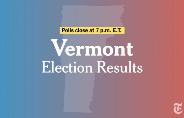 Resultados de las elecciones del Secretario de Estado de Vermont 2024