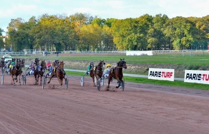 Predicciones de carreras de caballos para el miércoles 6 de noviembre de 2024