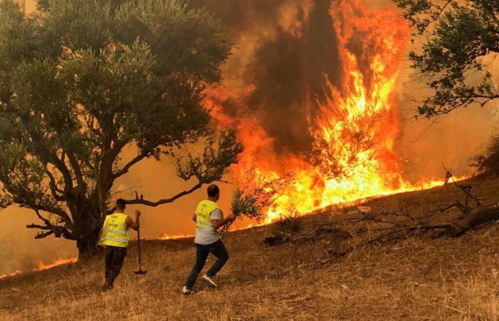 Benín: una casa devastada por un incendio provocado por gasolina kpayo en Agonli-Houègbo