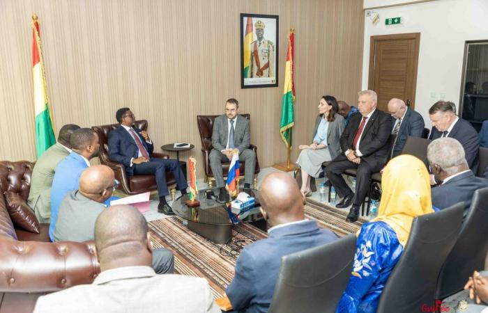 Guinea y Rusia perfilan los contornos de una cooperación científica duradera – Africa Guinee