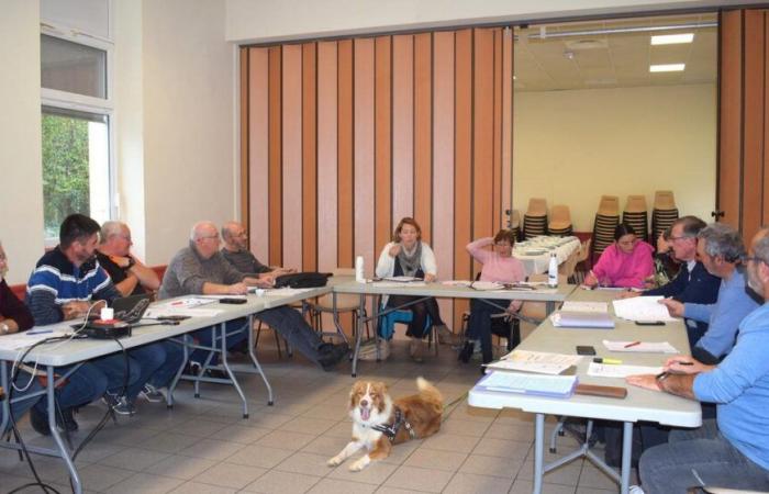 Los organizadores del trofeo de la NASA se preparan para la temporada deportiva de 2025.