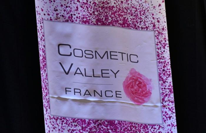 Cosmética sostenible, tres libros publicados por Cosmetic Valley para descifrar los problemas