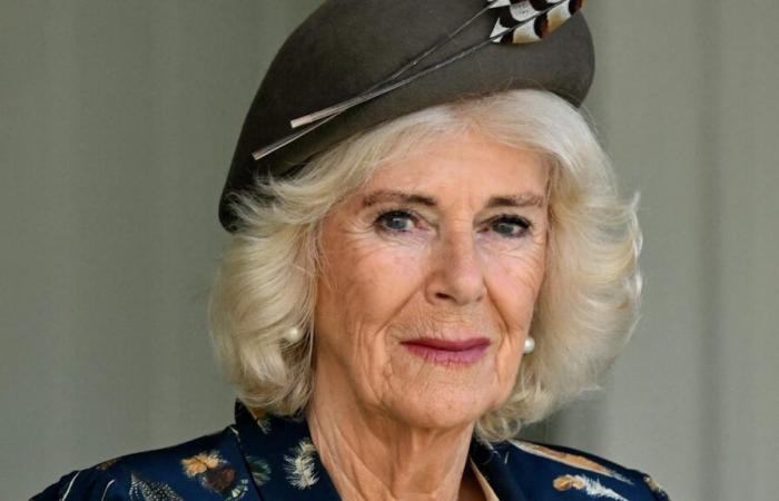 La reina enferma y Carlos está preocupado: Camilla cancela todas las citas | Entretenimiento