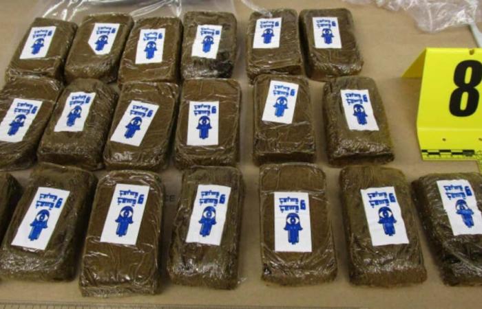 Gran operación de la RCMP en Quebec: hachís y cocaína incautados por kilos