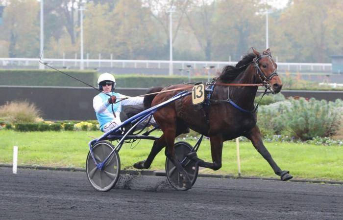 Héro Sibey gana con Damien Bonne en el Quinté+ de hoy