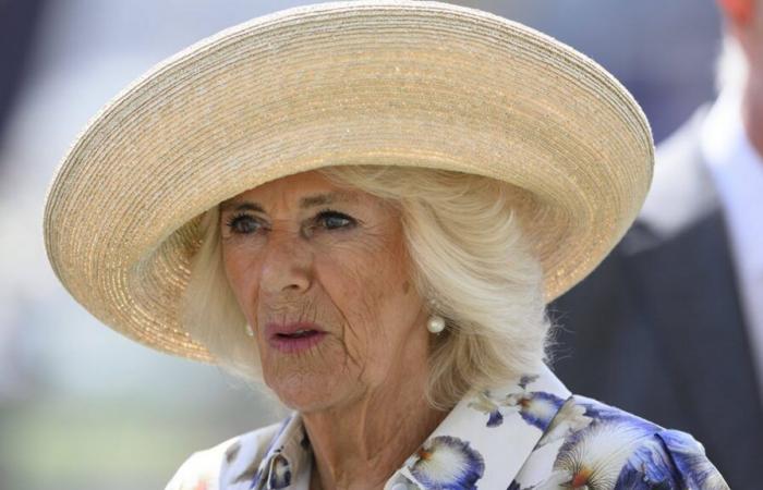 Susto en Buckingham: la reina Camilla cancela compromisos por infección pulmonar