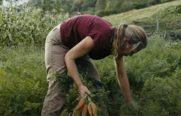 En Eure, esta asociación organiza un cine debate para hablar de cuestiones ecológicas