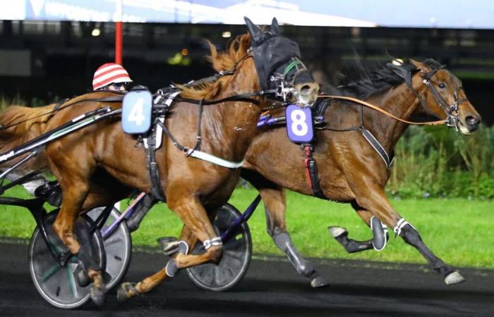 Masina de Tillard gana con Tgéo Duvaldestin en el Prix Gyptis