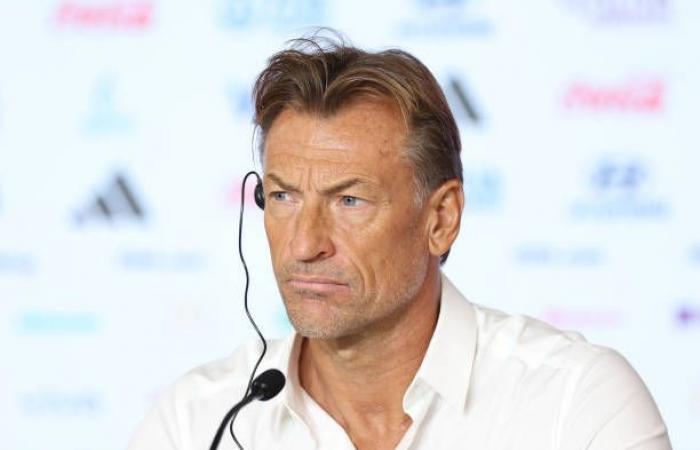 Revelación sobre su no aparición en el banquillo de los Lions: Hervé Renard quería a Omar Daf como su asistente