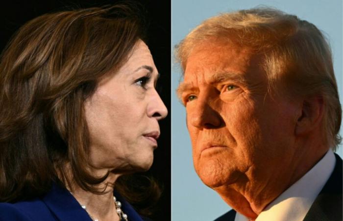 Harris o Trump: jornada histórica de votación en Estados Unidos – 11/05/2024 a las 14:58