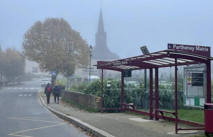 Joven desaparecido y luego encontrado muerto cerca de Rennes: se confirma el suicidio